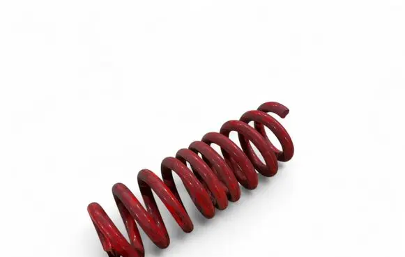 Rear coil spring
