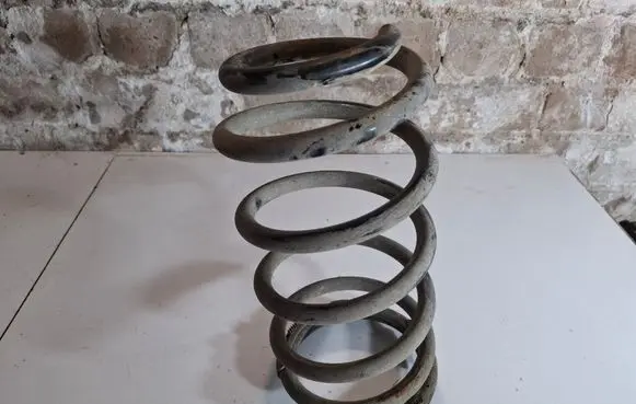 Rear coil spring