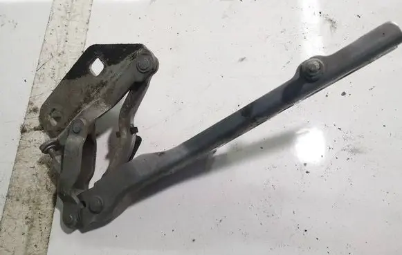 Audi A8 S8 D3 4E Engine bonnet/hood hinges 