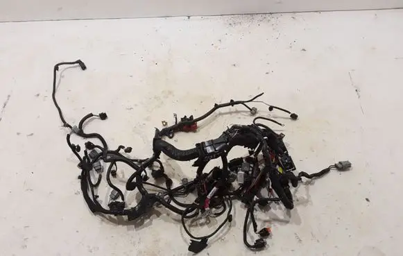 Dacia Sandero III Engine installation wiring loom 2040113685