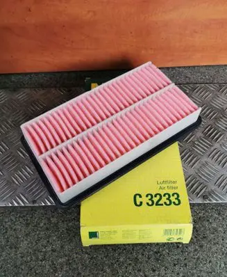 Renault Laguna III Air filter 250450038R