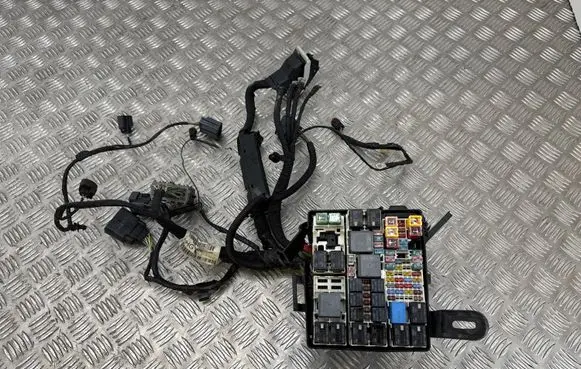 Ford Ecosport Fuse module JN1512A581AHG