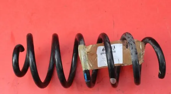 Renault Captur Rear coil spring