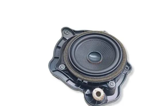 BMW X3 F25 Rear door speaker 9209184 65139209184