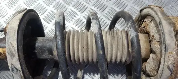 Mazda Premacy Front coil spring