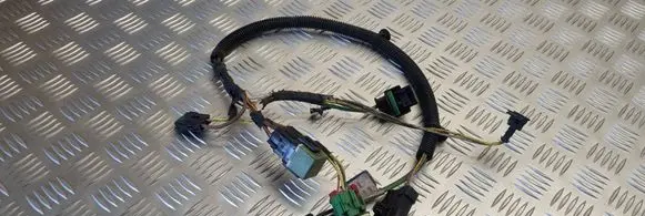 Peugeot 307 Cooling fan wiring 9655510880 290180