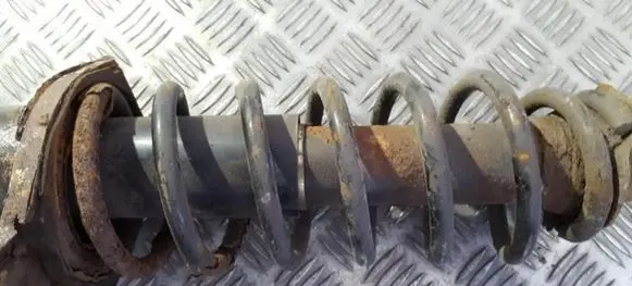 Toyota Corolla E120 E130 Rear coil spring
