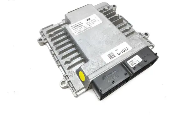 Hyundai Santa Fe Engine control unit/module 391702GTC1 391712GTC1 A3C0401040301