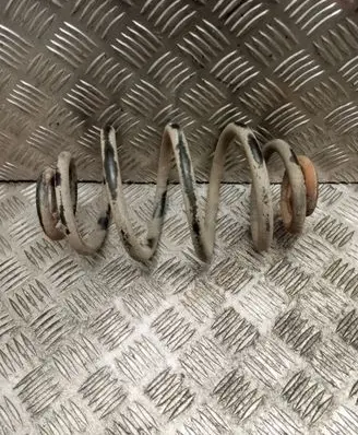 Rear coil spring