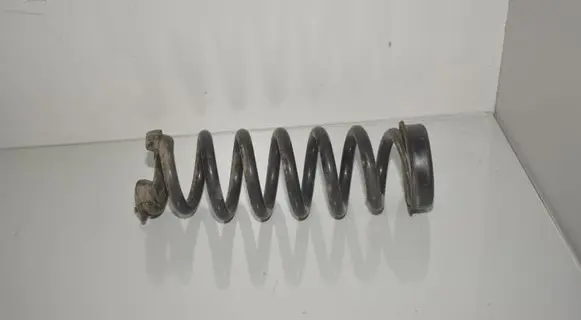 Rear coil spring