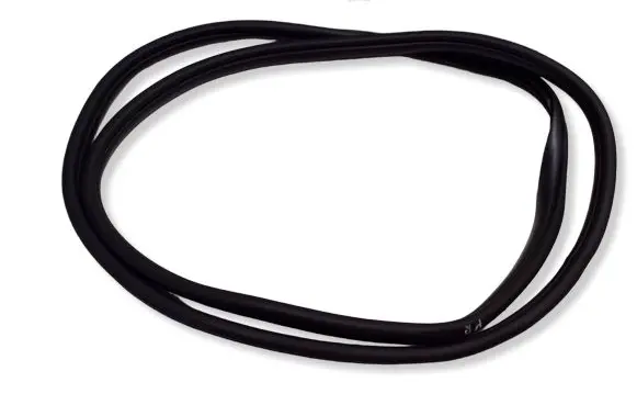 Hyundai Kona II Front door rubber seal 