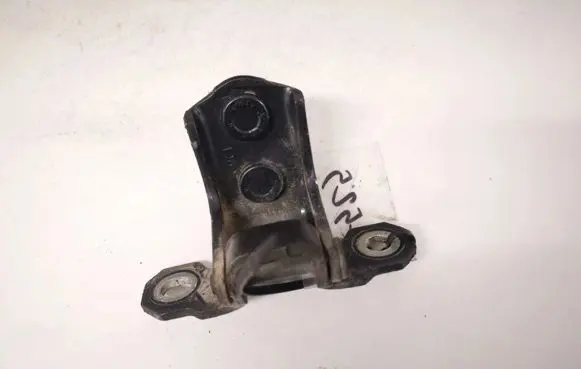Rear door lower hinge