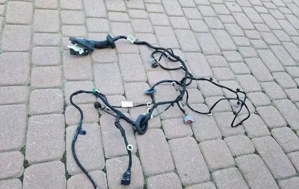 Opel Insignia B Front door wiring loom 39133596