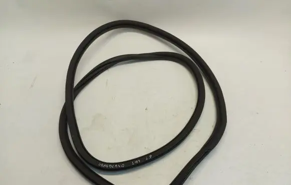 Opel Grandland X Front door rubber seal opegra038464