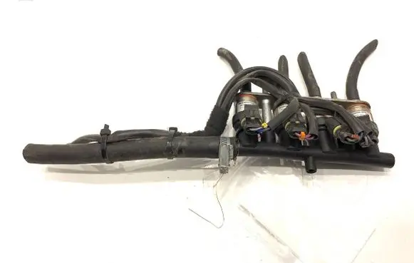 Renault Scenic II - Grand scenic II LP gas injector 67R-010213