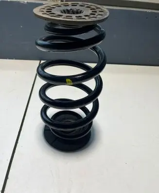 Rear coil spring