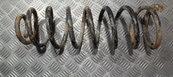 Rear coil spring