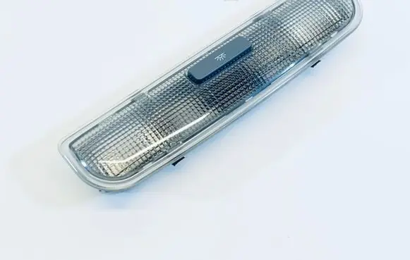 Rear seat light