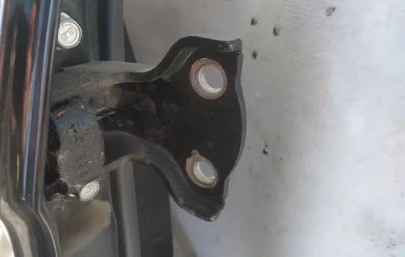 Rear door lower hinge