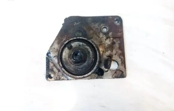 Renault Espace - Grand espace IV Generator/alternator belt tensioner 