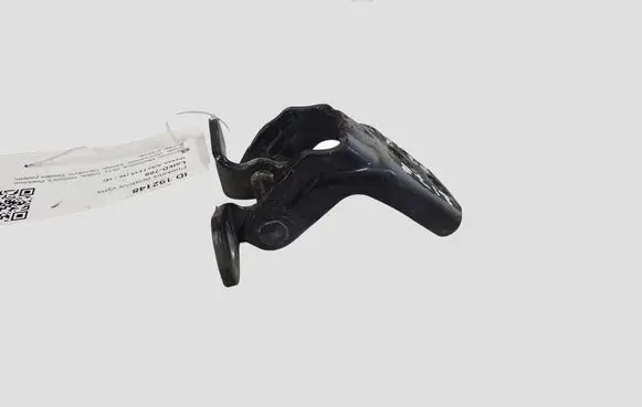 Nissan Juke I F15 Front door lower hinge