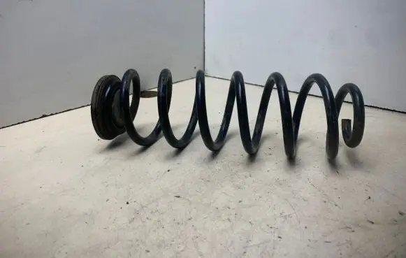 Volkswagen PASSAT B6 Rear coil spring 78730