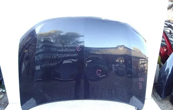 Engine bonnet/hood
