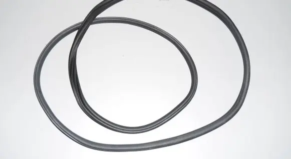 BMW iX3 G08 Rubber seal front door (on door) 7393423