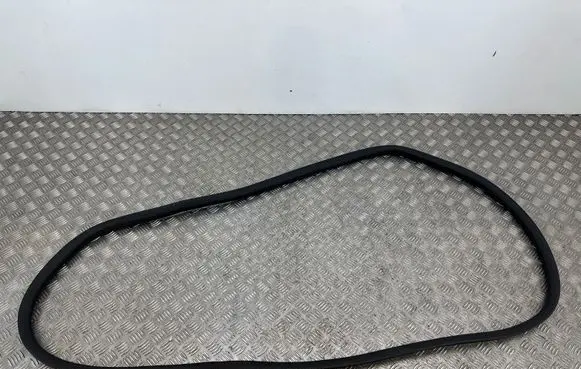 Opel Combo E Front door rubber seal
