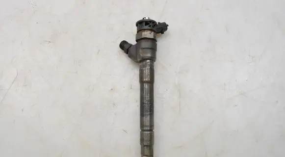 Renault Trafic III (X82) Fuel injector 0445110569