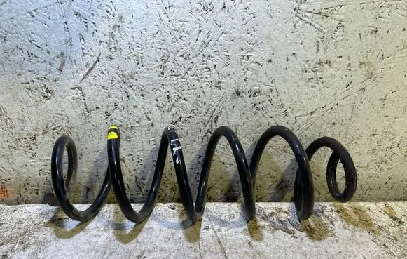 Rear coil spring