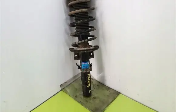 Skoda Roomster (5J) Front shock absorber with coil spring 300032