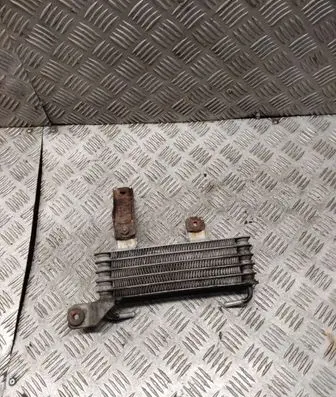 Hyundai Santa Fe Power steering radiator 