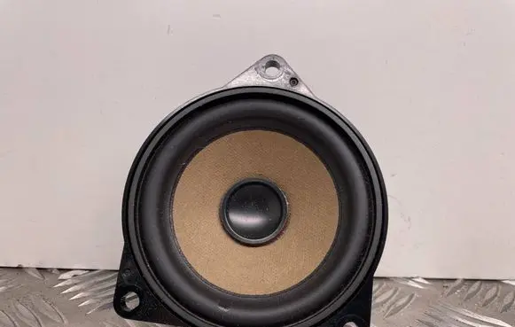 BMW X5 F15 Panel speaker 9295684