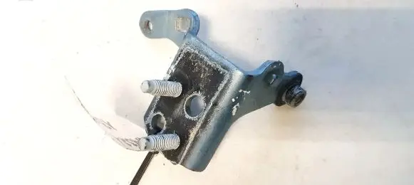 Jaguar XJ X350 Rear door lower hinge