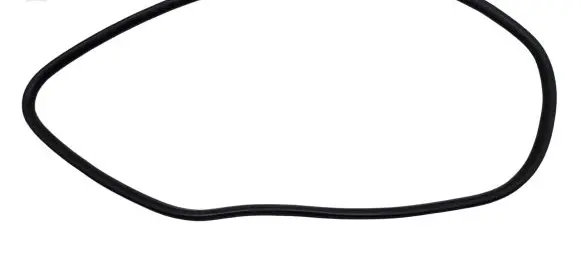 Ford Explorer VI Rear door rubber seal (on body) LB5BS253A18 LB5BS253A18AD KD2481