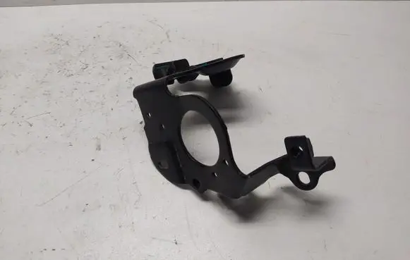 Renault Clio IV Fuel pump bracket 166345880R