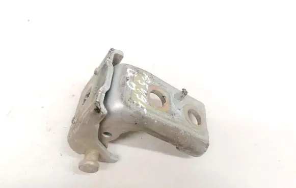 Citroen C5 Rear door lower hinge