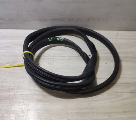 Dacia Duster II Rubber seal rear door