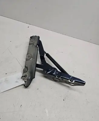 Tailgate/trunk/boot hinge
