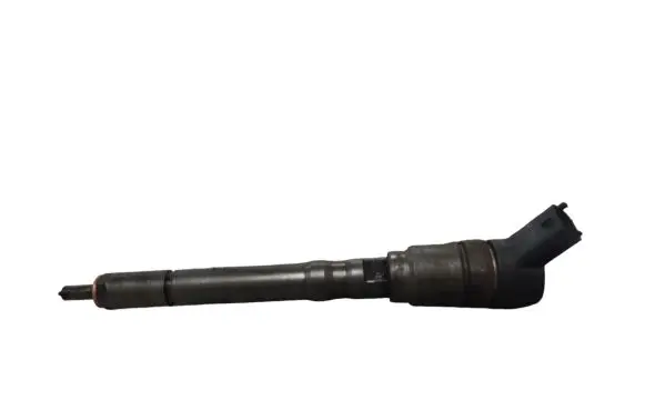 Hyundai Santa Fe Fuel injector 0445110064 3380027010
