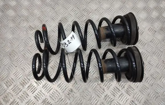 Rear coil spring