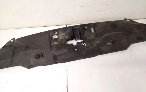 Engine bonnet/hood lock trim molding