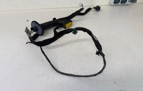 Renault Trafic II (X83) Front door wiring loom 93859940 0P1691 8200715005