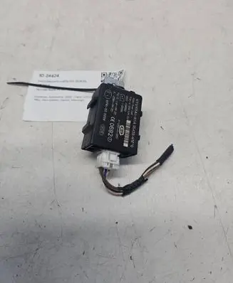 Hyundai Santa Fe Immobilizer control unit/module D24424