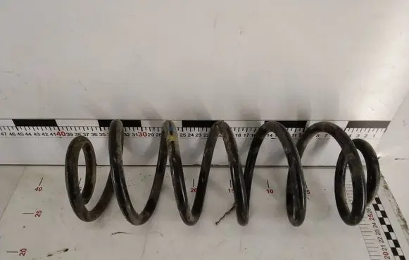 Volkswagen Golf V Rear coil spring 