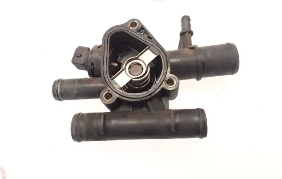 Thermostat/thermostat housing