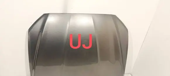Engine bonnet/hood