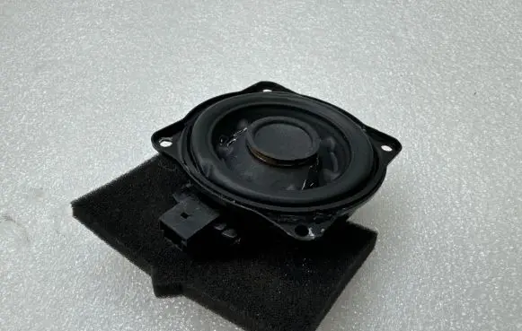 Tesla Model 3 Headliner speaker 108845900B 110786955 042308W1A