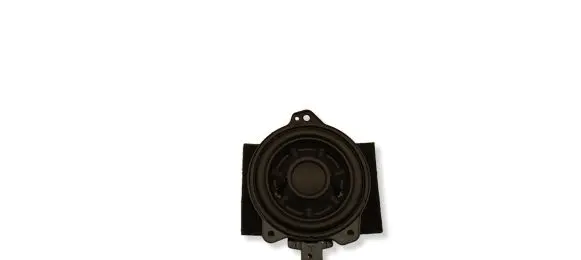 Tesla Model Y Headliner speaker 148648800A